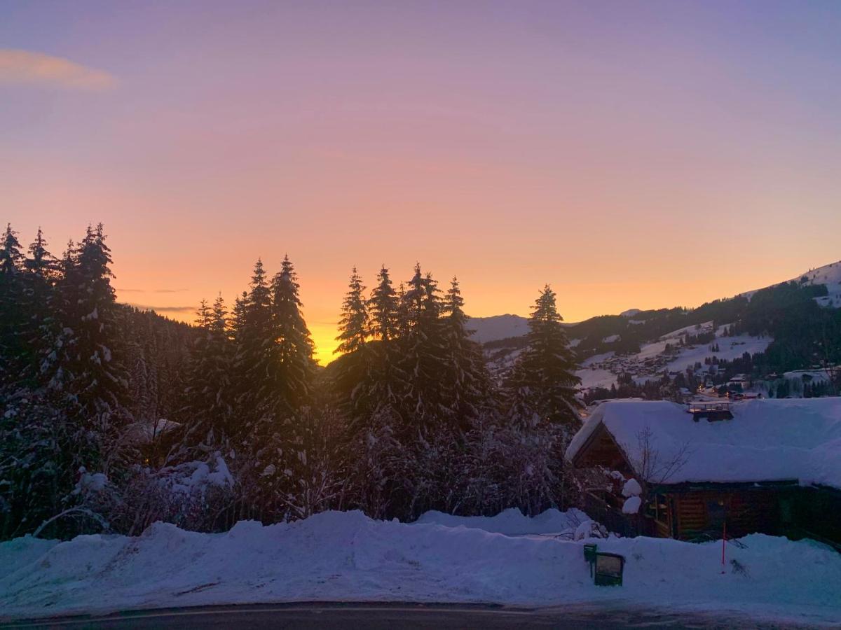 Chalet Le Renard Du Lac Ле-Гет Экстерьер фото
